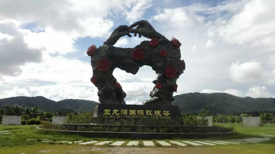 玫瑰-5.jpg